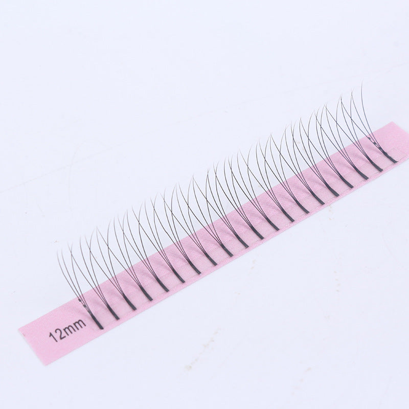 2D-6D Long Root Hairs Grafted Eyelashes 0.10 Single Hairs