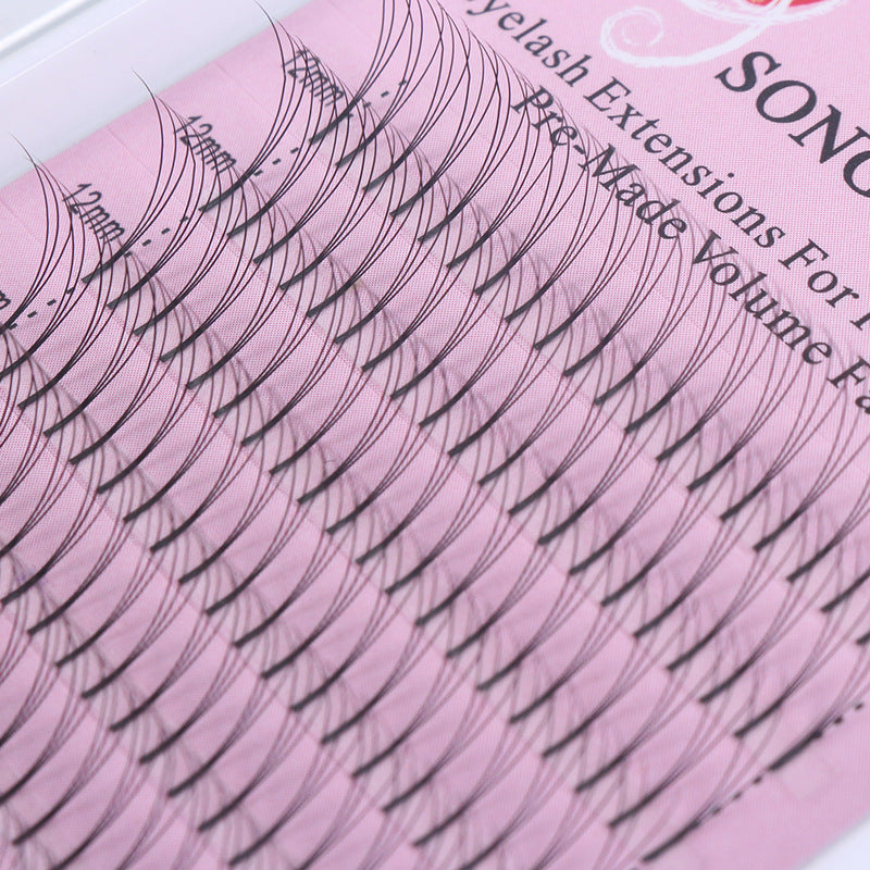 2D-6D Long Root Hairs Grafted Eyelashes 0.10 Single Hairs